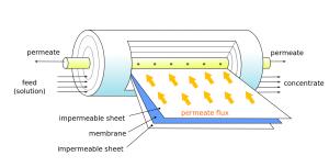 membrane