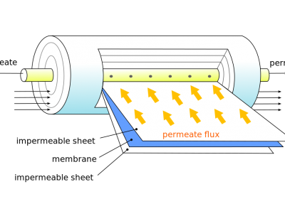 Membrane shapes and flow geometries