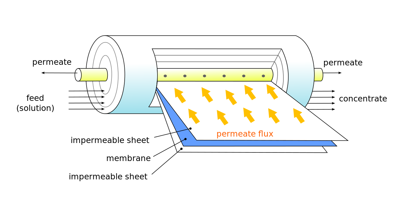 Membrane shapes and flow geometries