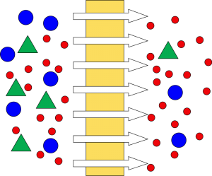 membrane processes